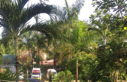 Negril House | Green Leaf Cabins Room 6B&6C