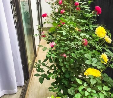 Hanoi Apartment | Green Line Long Bien - Serviced Apartment - Ngoc Thuy - Hanoi