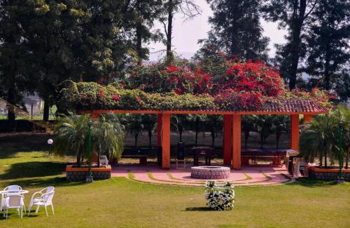Gurugram House | Green Orchid Farms I Swimming Pool I Wedding I party