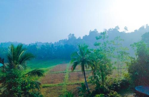 Baddegama House | Green Palm Villa