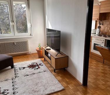 Sudstadt Apartment | Green paradise near Vienna 3 room and balcony