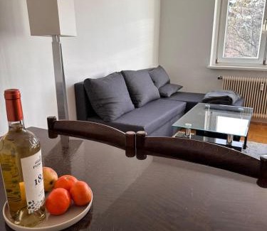 Sudstadt Apartment | Green paradise near Vienna 3 room and balcony
