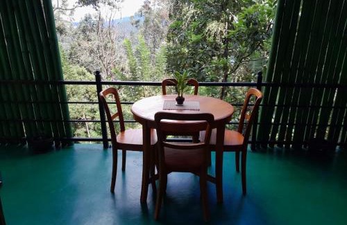 Ella Villa | Greenery Garden