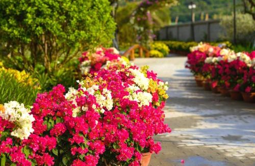 Ganh Dau Hotel | Greenlife village phú quốc