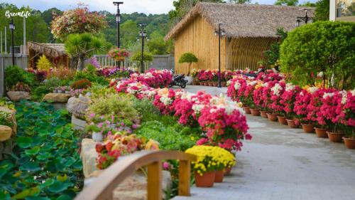 Ganh Dau Hotel | Greenlife village phú quốc