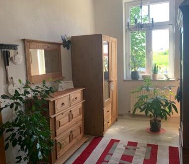Neustadt am Kulm Apartment | Große Ferienwohnung in einer Villa im Grünen