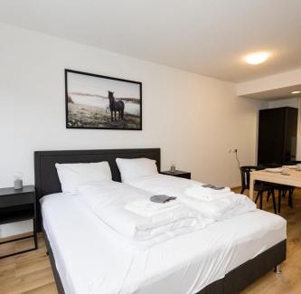 Wurzburg City Centre Apartment | Große Ferienwohnungen in der Altstadt