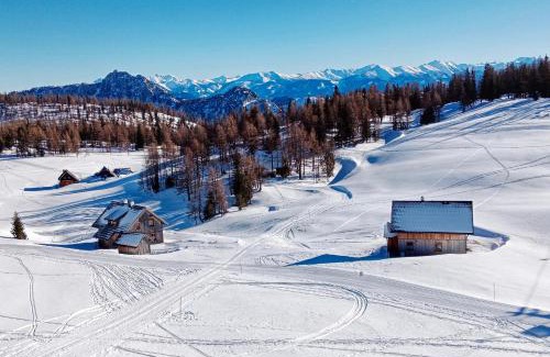Tauplitz House | große Winklerhütte
