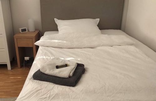 Neustadt-Sued House | Großzügiges Zimmer mit Badezimmer in Rheinwohnung