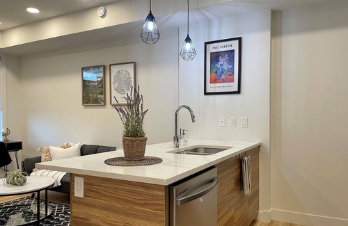 Southeast Calgary Condo | Groovy 1 Bedroom Condo in Seton