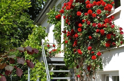 Utting am Ammersee Apartment | Ground floor apartment in a beautiful old villa
