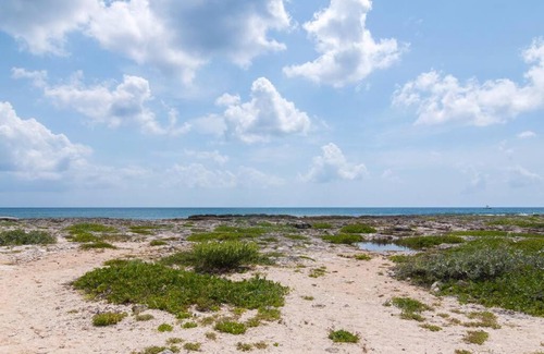 Akumal Apartment | Ground level Garden condo at Akumal south by TAO Santamar