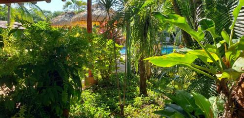 Junquillal Cabin | Guacamaya Lodge