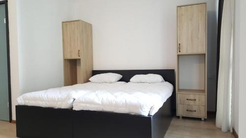 Kazbegi Apartment | Gudauri Hotel Loft Apartment 323