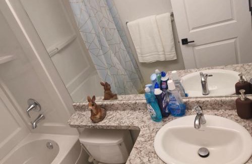 Fort Gary Apartment | Guest Basement suite in Winnipeg