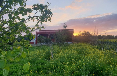 Ziaida House | Guest farm les collines de benslimane