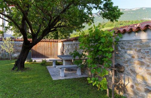 Podnanos House | Guest House Žerjal