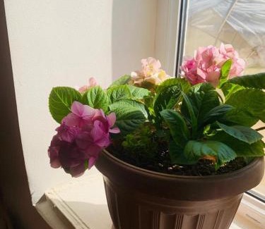 Bokonbayevo House | Guest House Aiym