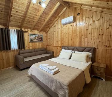 Gjirokaster House | Guest House Argjiro Castle