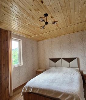 Mestia House | Guest house Calgmli
