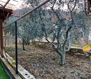 Albania Apartment | Guest House Guri