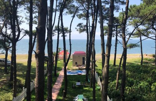 Grigoleti House | Guest House Guriani