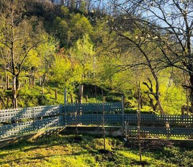 Adjara House | Guest House in the mountaims Gocha