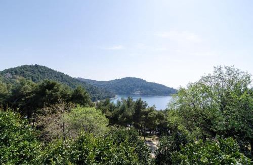 Saplunara Apartment | Guest House Kralj
