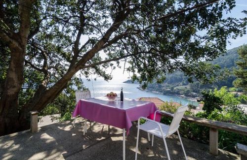 Saplunara Apartment | Guest House Kralj