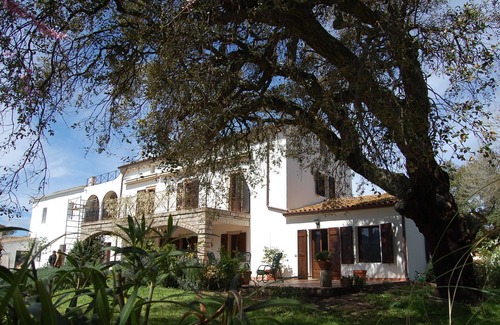 Luras Apartment | Guest House Muscazega - charm in Antico Stazzu