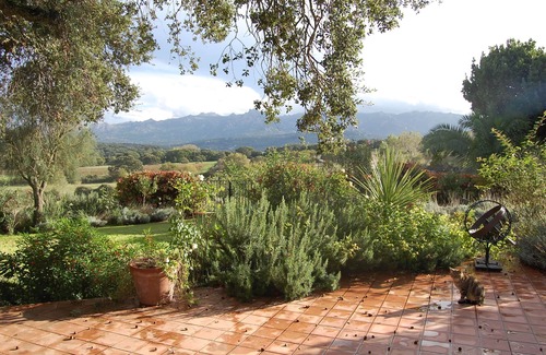 Luras Apartment | Guest House Muscazega - charm in Antico Stazzu