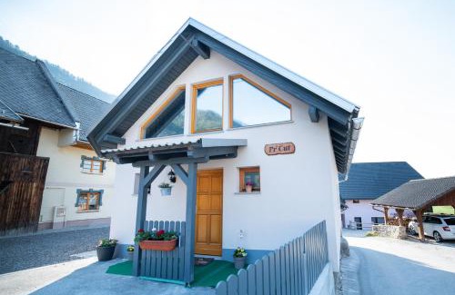 Zirovnica Apartment | Guest House Pr' Čut