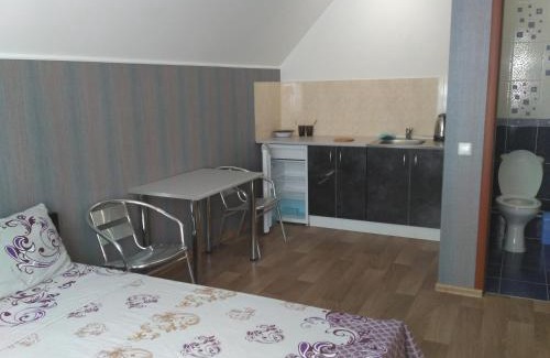 Kirovograd House | Guest House RELAX
