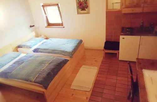 Ljubno ob Savinji House | Guest House Turistična kmetija Plaznik