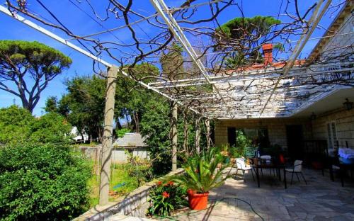Lopud Island House | Guest House Zec