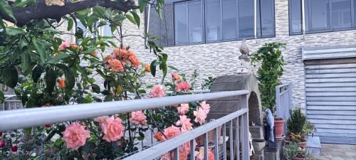 Berat House | Guesthouse AB Berat