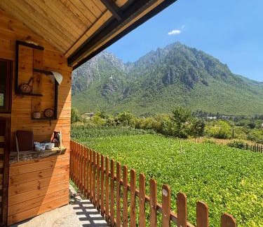 Shale Bed & Breakfast | Guesthouse Driti