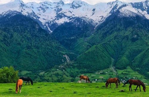 Mestia House | Guesthouse in Lankhvri