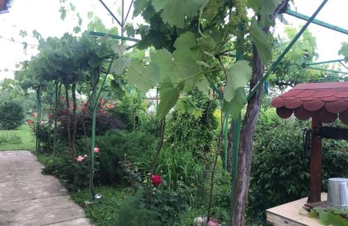 Pavel Banya House | Guesthouse Planinsko Gnezdo