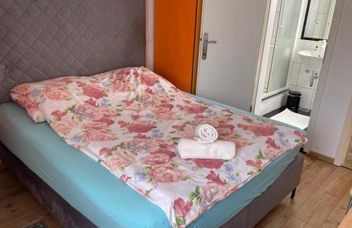 Medvode House | Guesthouse Stremljan Ljubljana
