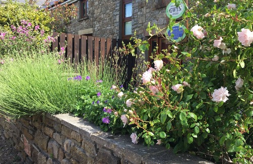 Cwmbach Apartment | Gwyn, our ground floor studio