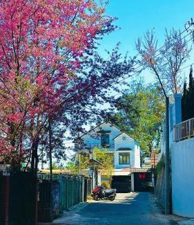 Da Lat House | Hừng Đông