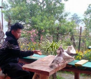 Ma Cha Cabin | H'mông cổ trấn sapa homestay