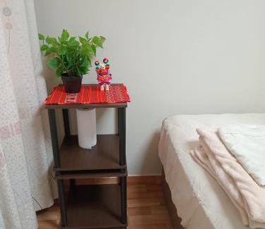 Santiago de Surco House | Habitación Estandar con baño privado en Monterrico Sur
