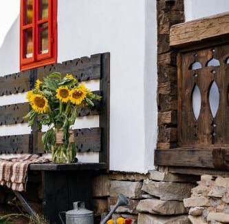 Vama Ski Chalet | Hai la Saivan Bio Retreat and Farm