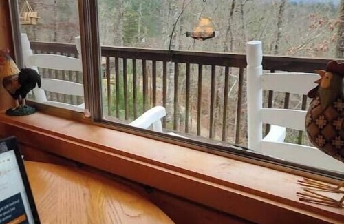 Robbinsville Cabin | Hala Hideaway - for nature lovers of all types!