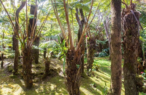 Volcano House | Hale Mauna Loa Volcano Vacation Getaway-Lower Level