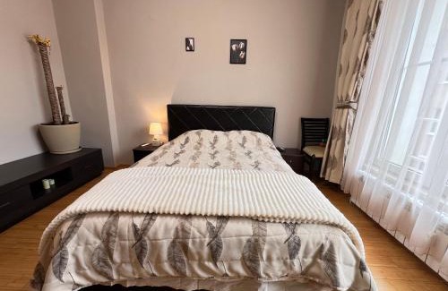 Sofia City Center Apartment | Hamburg 2BDR Family Apt next to NDK and Vitosha BLVD