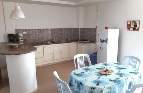 Mrezga Apartment | Hammamet - Near beaches and hills: The house of olive trees