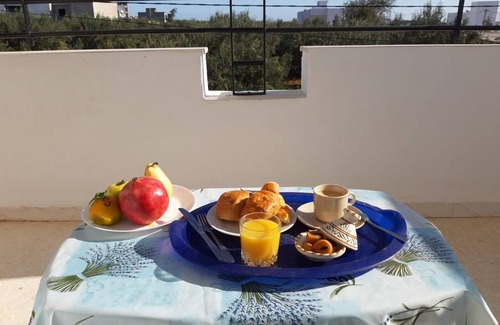 Mrezga Apartment | Hammamet - Near beaches and hills: The house of olive trees
